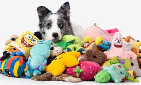 Unleashing the Best Toys for Your Dog's Playtime