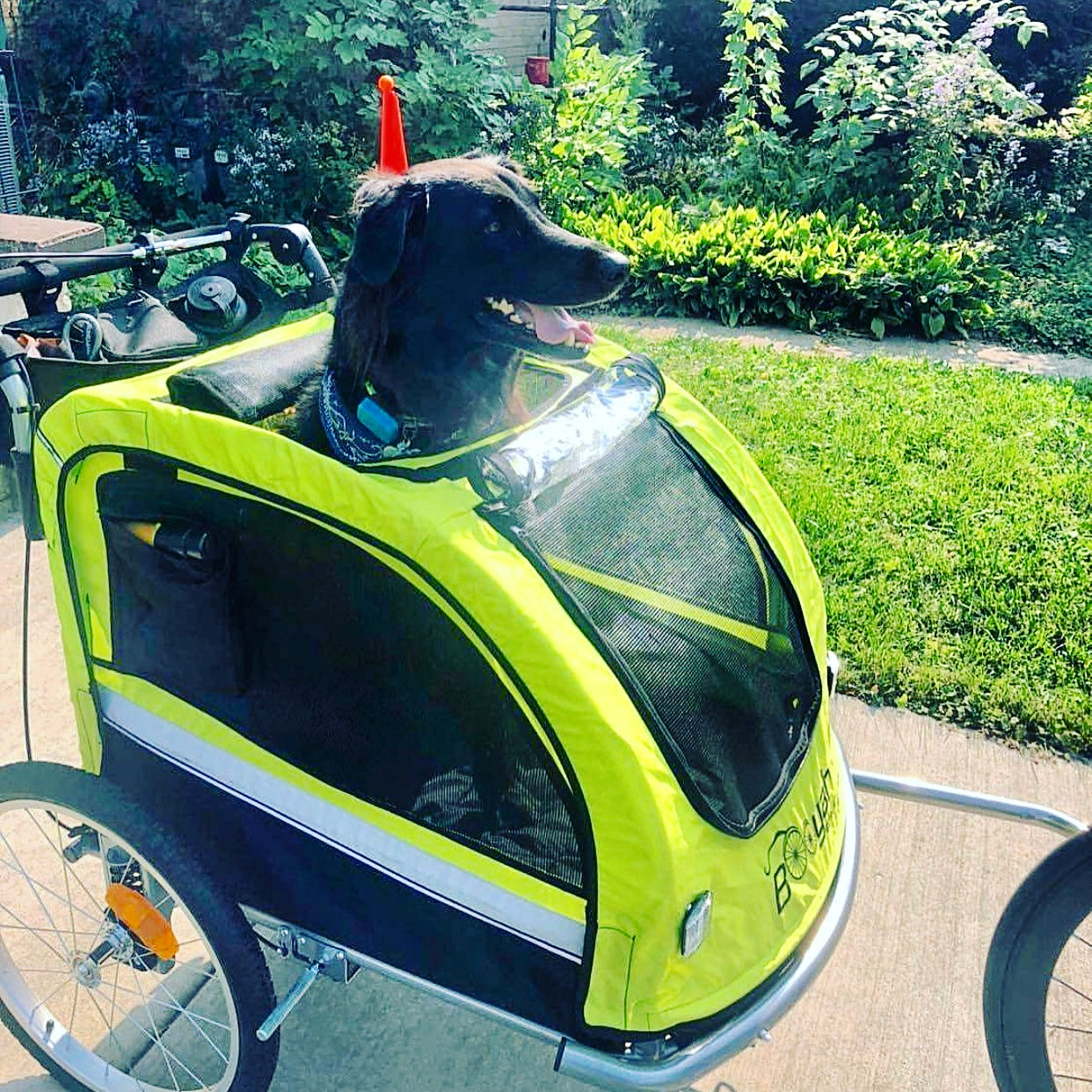 Dog Stroller Bike Bicycle Trailer.