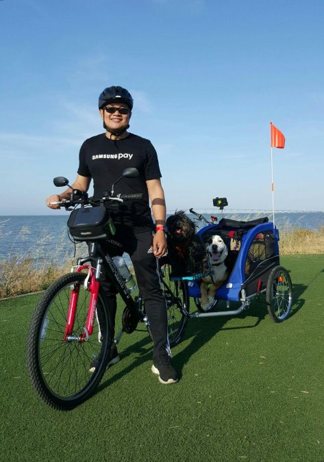 Bike Trailer With Suspension for Pets: A 2026 Guide