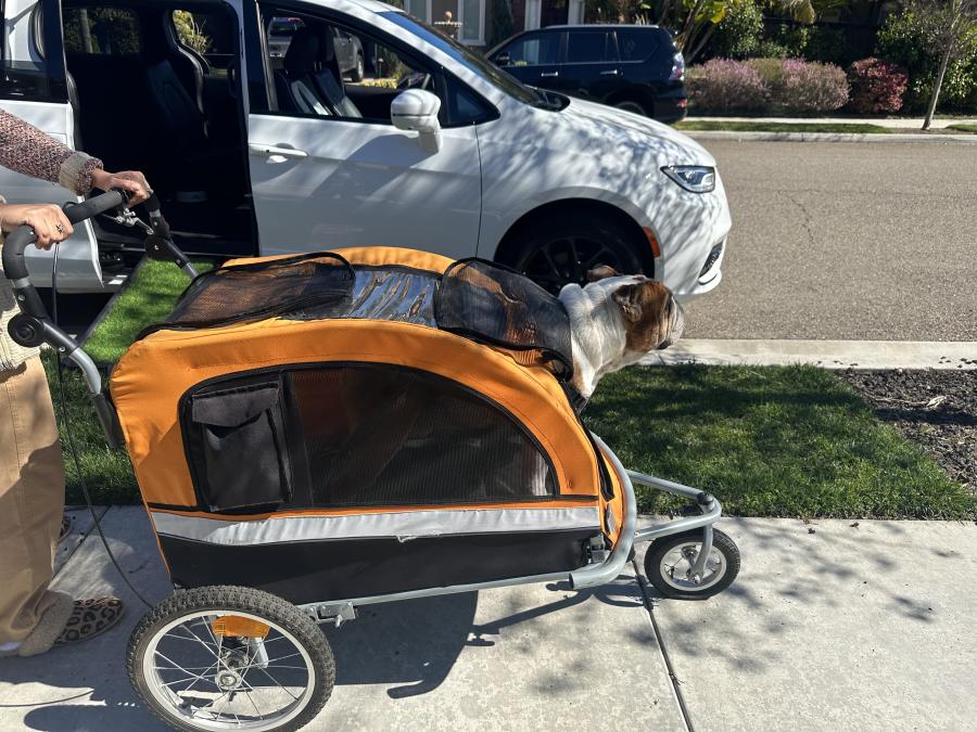 Best Bike Trailer for Jogging: 3-in-1 Picks That Work
