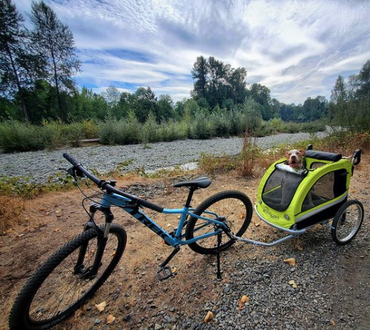 The Benefits of Using a Bike Trailer for Dogs: Why Every Pet Parent Needs One