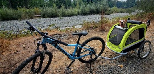 Thule Alternative for Pet Trailers: Best Options