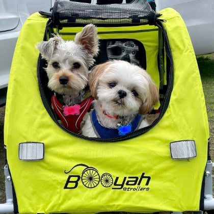 Medium Pet Strollers and Bike Trailers