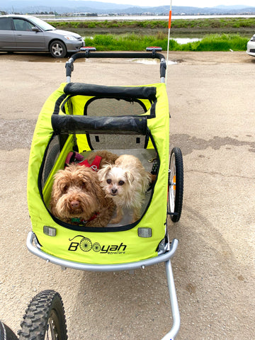 Dog Stroller, Jogger & Bike Trailer | Booyah Strollers for Pets