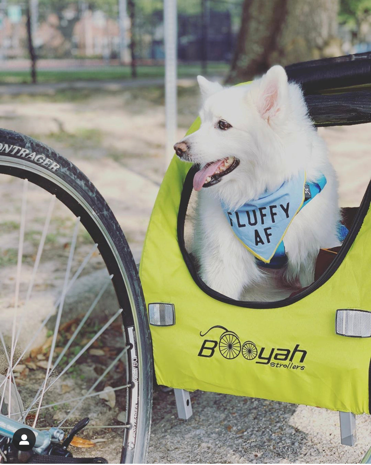 Booyah Medium Dog Stroller, Bike Trailer and Jogger Combo with Suspension - Florescent Green.
