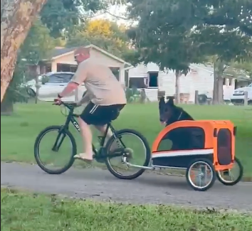 Extra Large Pet Dog Stroller and Bicycle Trailer with Suspension - Orange.
