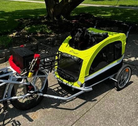 Booyah Extra Large Pet Dog Stroller Carrier and Bicycle Trailer with Suspension - Fluorescent Green