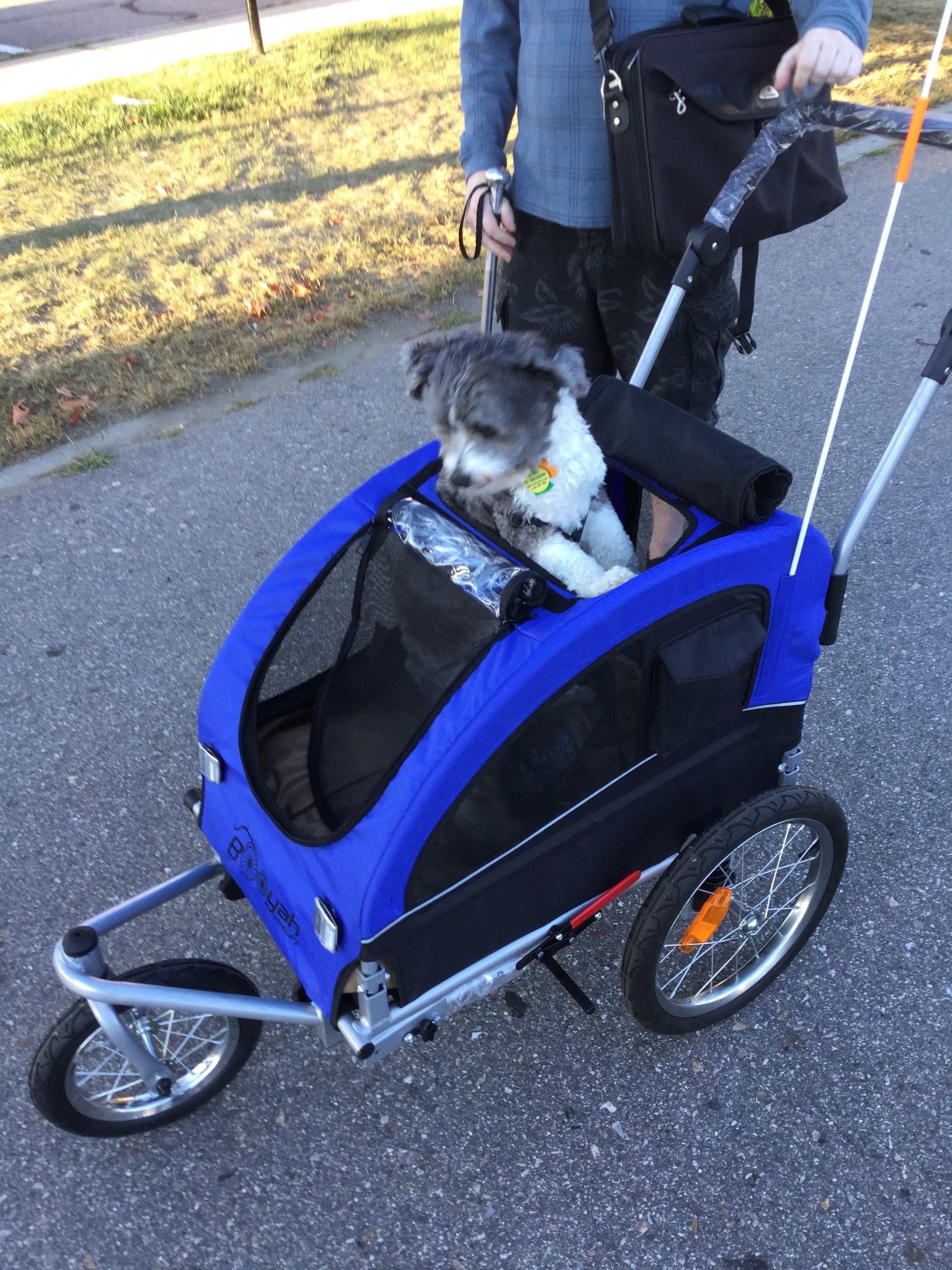 Booyah Medium Dog Stroller, Bike Trailer and Jogger Combo with Suspension - Florescent Green.