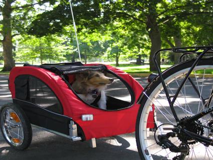 PRE SALE- Booyah Medium Dog Stroller and Trailer Combo with Suspension - Black